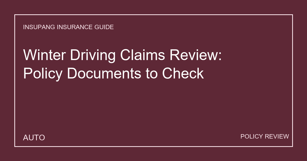 Winter Driving Claims Review: Policy Documents to Check - Insupang insurance guide thumbnail
